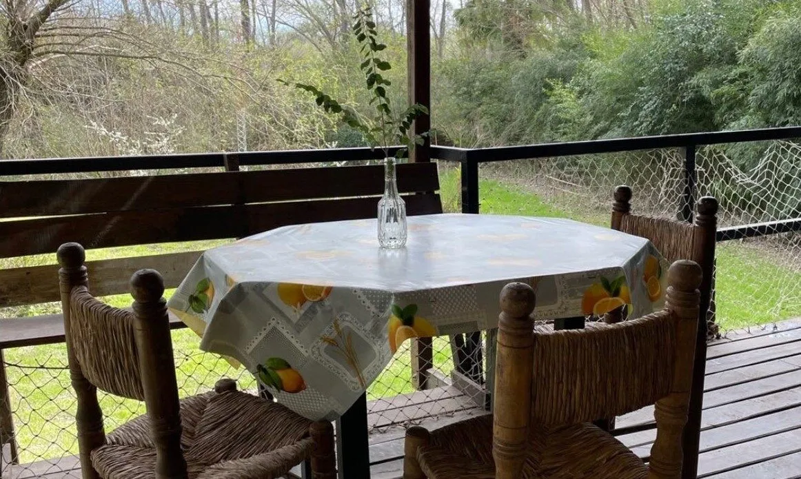 Mesa con mantel de limones en la galería, mirando al parque
