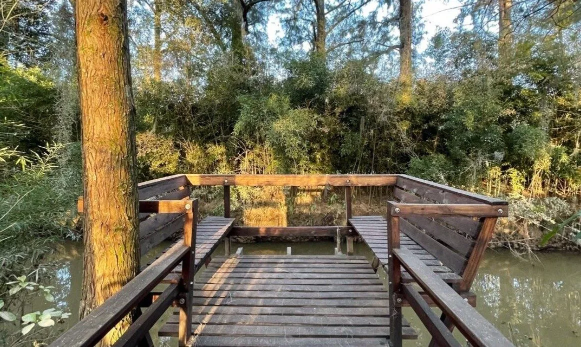 El muelle de madera sobre el arroyo, entre los árboles